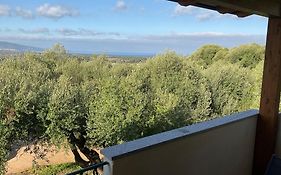 Casa Vacanze Residence I delfini